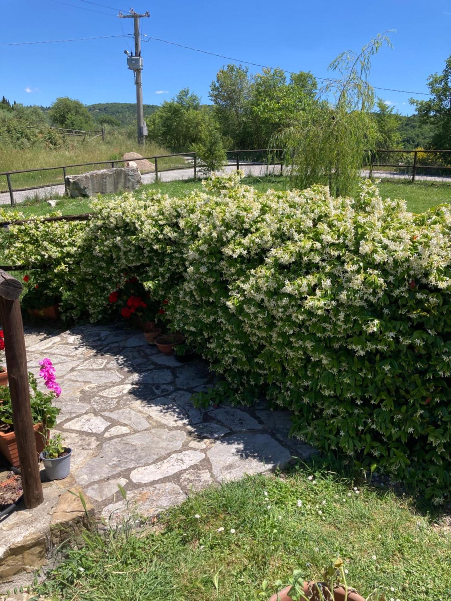 Salto Di Gatto Βίλα Castellina in Chianti Εξωτερικό φωτογραφία